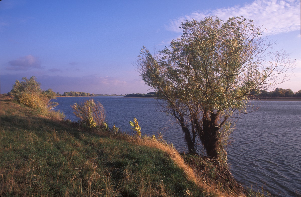 Изучение рыбных мест в России: локации, реки, озера